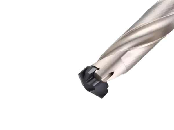 Foratura